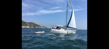 SAILS UP 1.jpg
