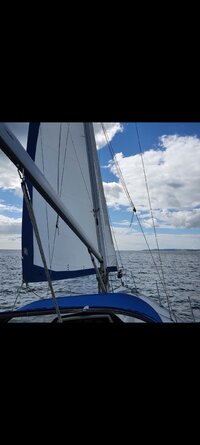 SAILS UP 3.jpg