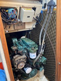 IMG_1393.jpeg